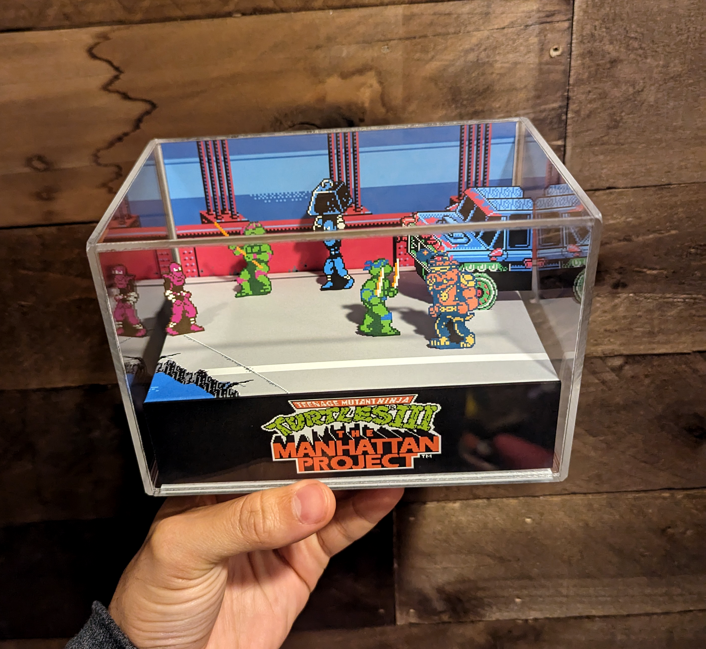 TMNT Teenage Mutant Ninja Turtles Figure Acrylic Display Case