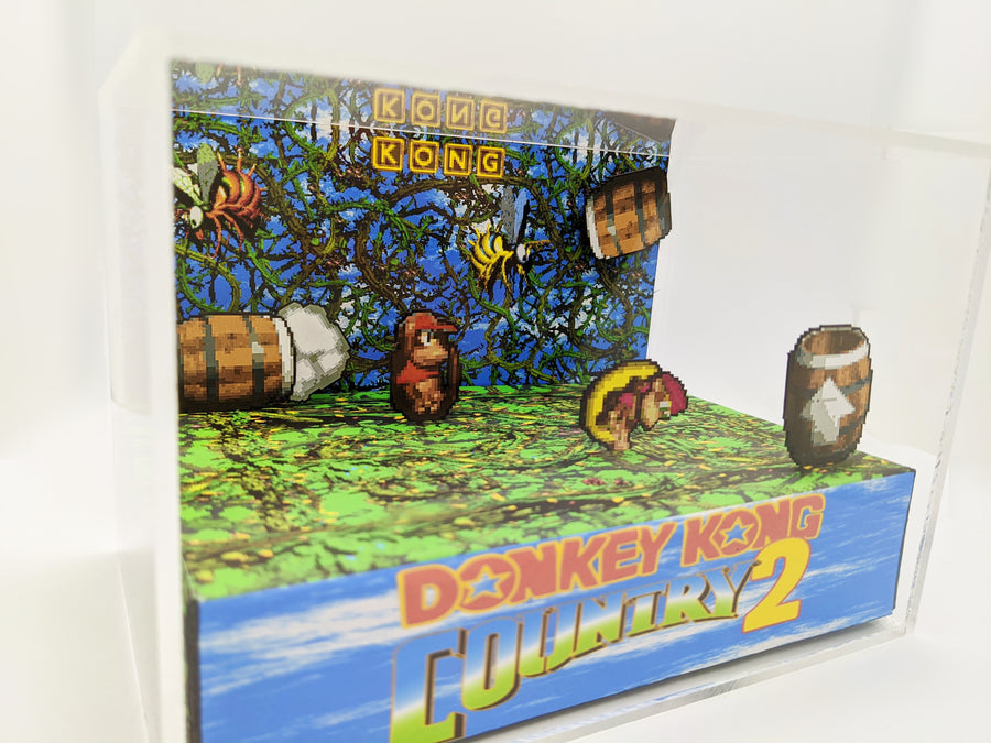 Donkey Kong Country 2 - Bramble Blast